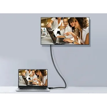 Equip 119252 DisplayPort kabel 2 m Sort