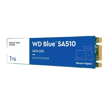 WD Blue SA510 WDS100T3B0B-00AXS0