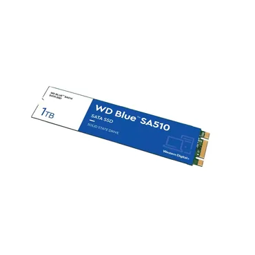WD Blue SA510 WDS100T3B0B-00AXS0
