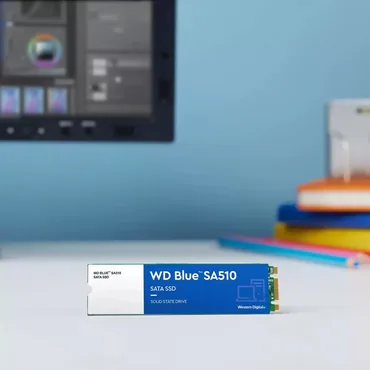 WD Blue SA510 WDS100T3B0B-00AXS0