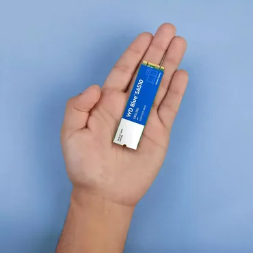 WD Blue SA510 WDS100T3B0B-00AXS0