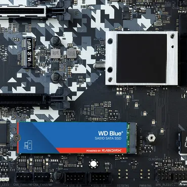 WD Blue SA510 WDS100T3B0B-00AXS0