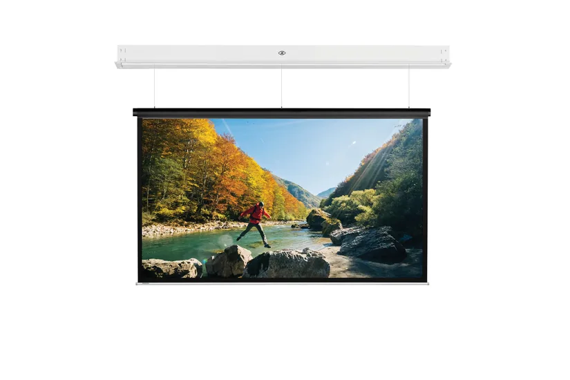 Projecta DescenderPro SightLine 233x310