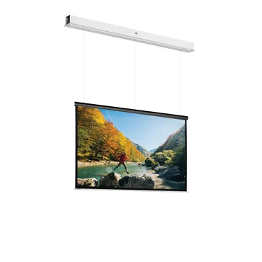 Projecta DescenderPro SightLine 233x310