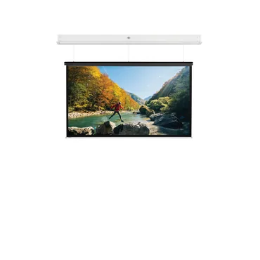 Projecta DescenderPro SightLine 233x310