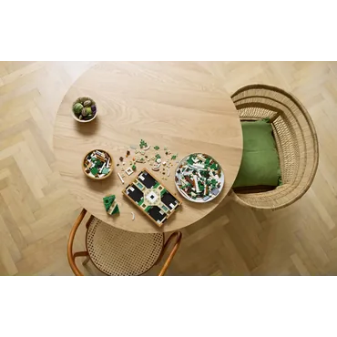 LEGO Icons 10359 Fontanna w ogrodzie