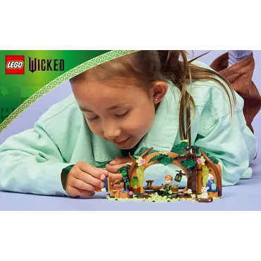 LEGO Wicked 75687