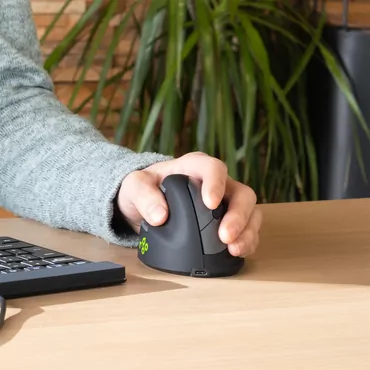 R-Go Ergonomic mouse HE Break