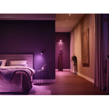 Philips Hue White and Color Ambiance