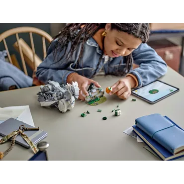 LEGO Harry Potter Stormvind