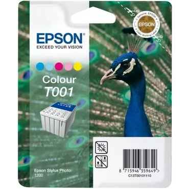 Epson T001