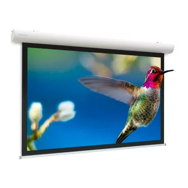 Projecta Elpro Concept WS 310x310 Matte