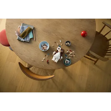 LEGO Ideas Gremlins™: Gizmo