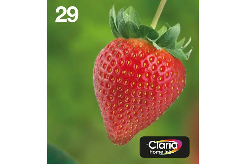 Epson Multipack 29 EasyMail - 4-pack - svart, gul, cyan, magenta - original - bläckpatron