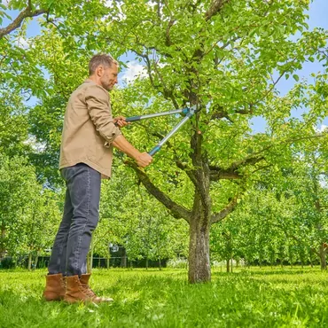 Astschere EasyCut L (grau/türkis, 50cm)