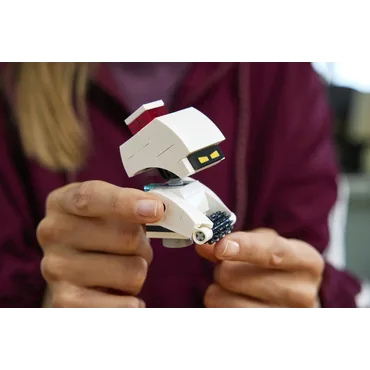 LEGO Disney WALL-E og EVA