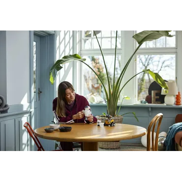 LEGO Disney WALL-E og EVA