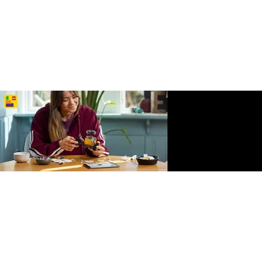 LEGO Disney WALL-E og EVA