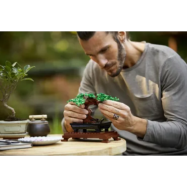 LEGO Creator Expert Botanical Collection 10281