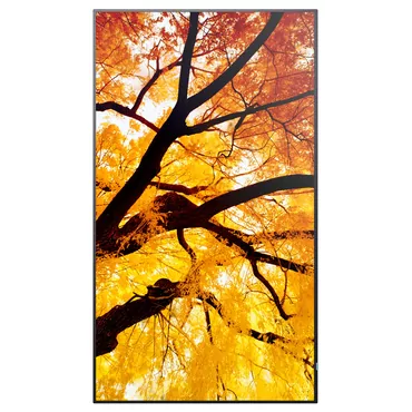 Sharp M552 | 55" | 3840x2160 | 500Nits | 24/7 | Built-in speaker