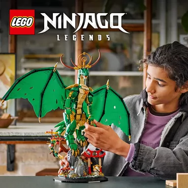 LEGO NINJAGO Vogterdragen