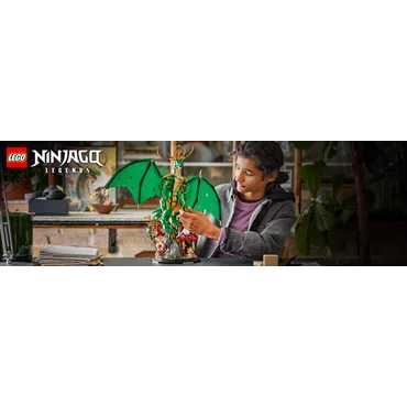 LEGO NINJAGO Vogterdragen