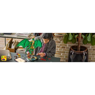 LEGO NINJAGO Vogterdragen
