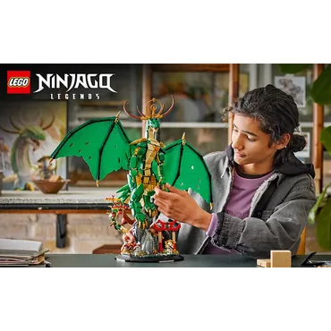 LEGO NINJAGO Vogterdragen
