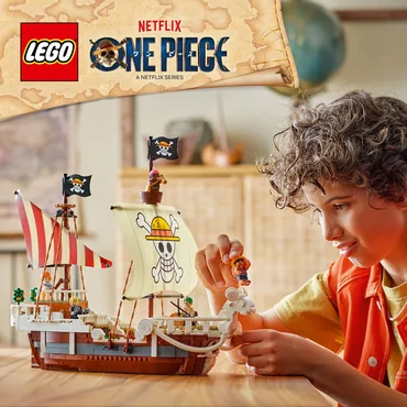 LEGO One Piece 75639
