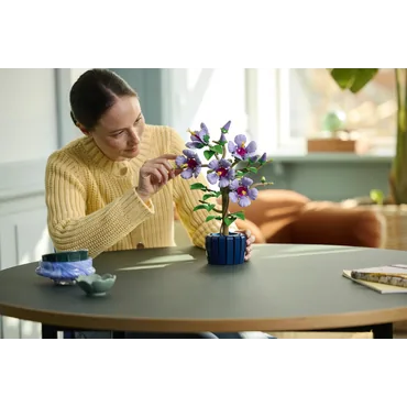 LEGO Botanicals Hibiscus