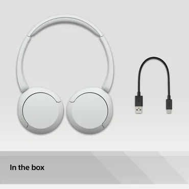 Sony WH-CH520