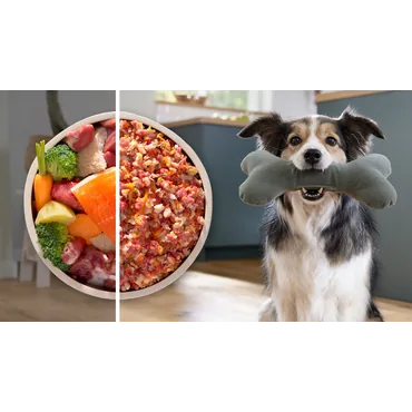 Bosch Köttfärsmaskin - 2100 W - 5.2 g - Black, Silver - 240 mm - 200 mm - 247 mm