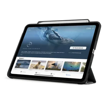Pipetto Tablet cover - Apple - 13" - Folie