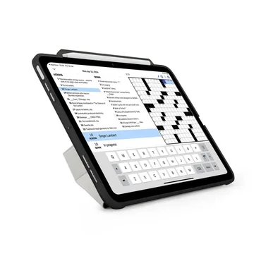 Pipetto Tablet cover - Apple - 13" - Folie