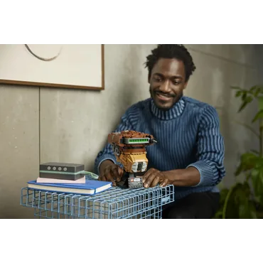 LEGO Star Wars Princess Leia