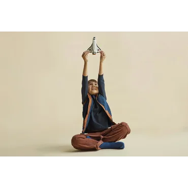 LEGO Creator 3in1 31134