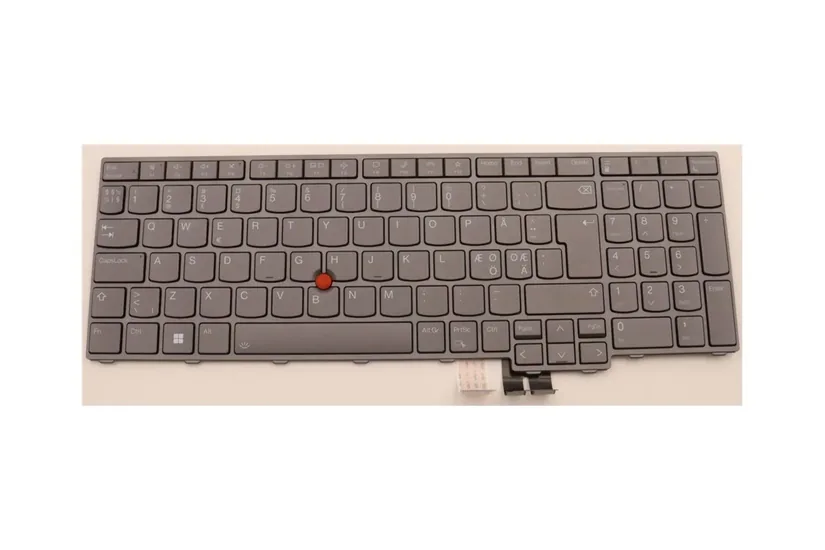 Chicony - notebooks udskiftningstastatur - med Trackpoint - QWERTY - nordisk (engelsk/dansk/finsk/norsk/svensk) - grå