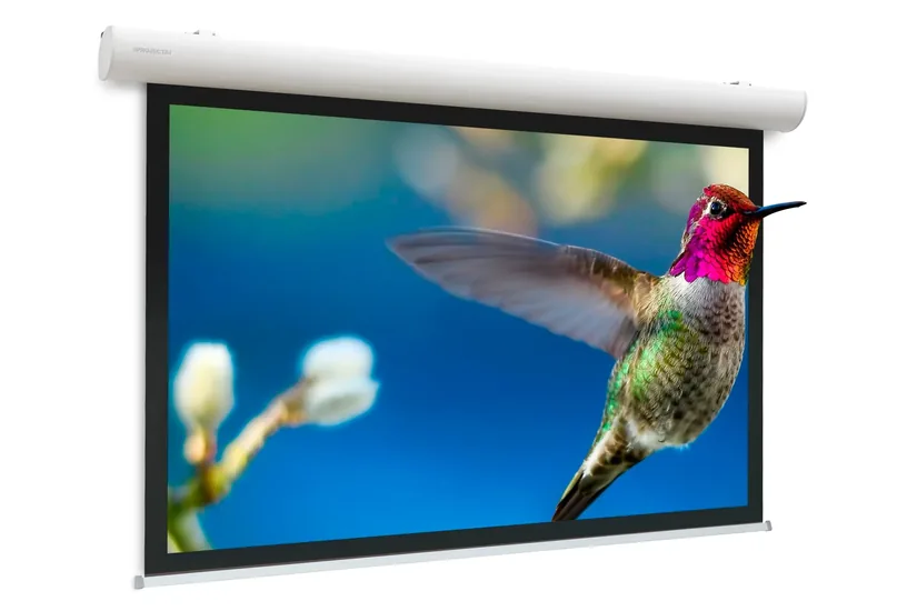 Projecta Elpro Concept WS 290x290 Matte