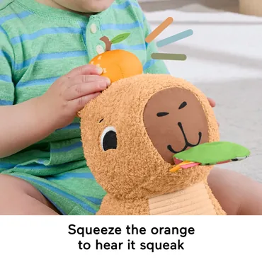 Fisher-Price Kramme-kapivar